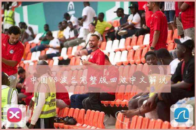 中国vs波兰完整版回放中文解说