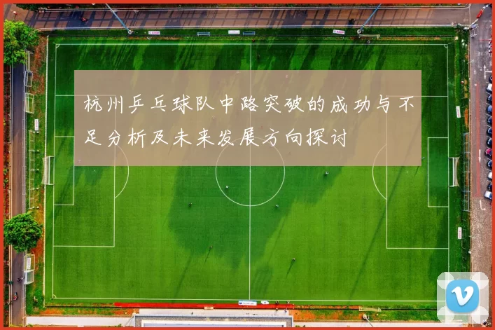 杭州乒乓球队中路突破的成功与不足分析及未来发展方向探讨