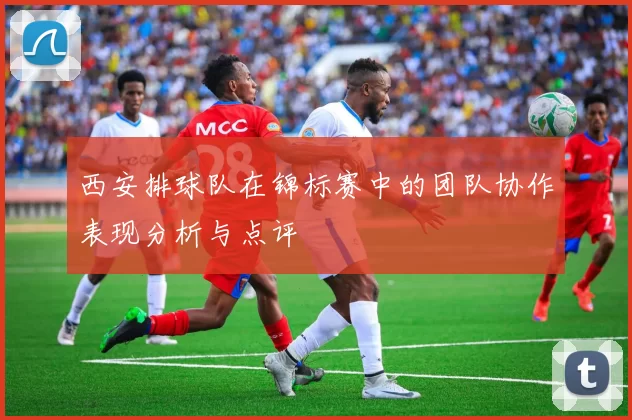 西安排球队在锦标赛中的团队协作表现分析与点评