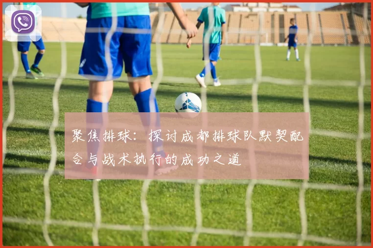 聚焦排球：探讨成都排球队默契配合与战术执行的成功之道