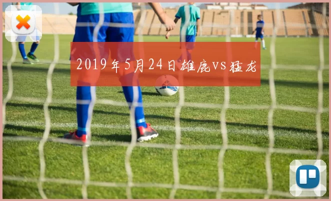 2019年5月24日雄鹿vs猛龙