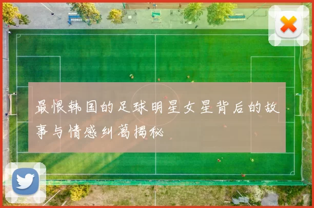 最恨韩国的足球明星女星背后的故事与情感纠葛揭秘