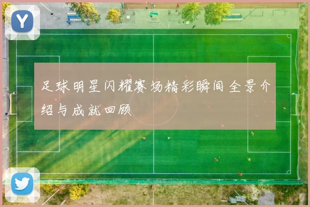 足球明星闪耀赛场精彩瞬间全景介绍与成就回顾