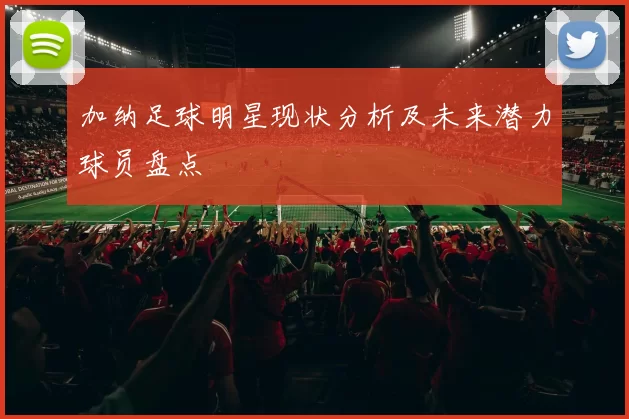 加纳足球明星现状分析及未来潜力球员盘点