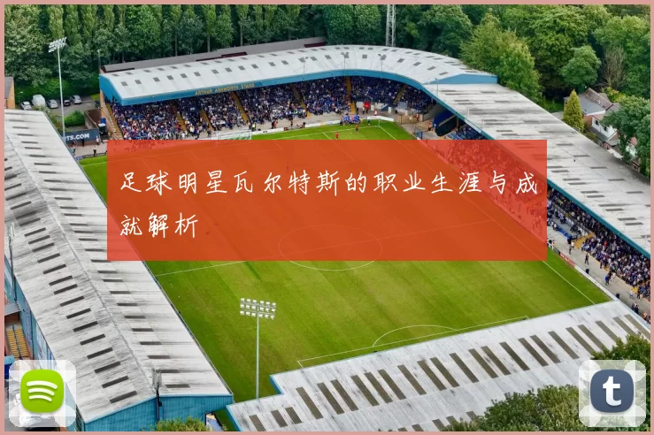 足球明星瓦尔特斯的职业生涯与成就解析