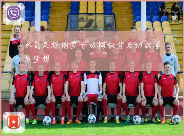 冰岛足球明星专访揭秘背后的故事与梦想